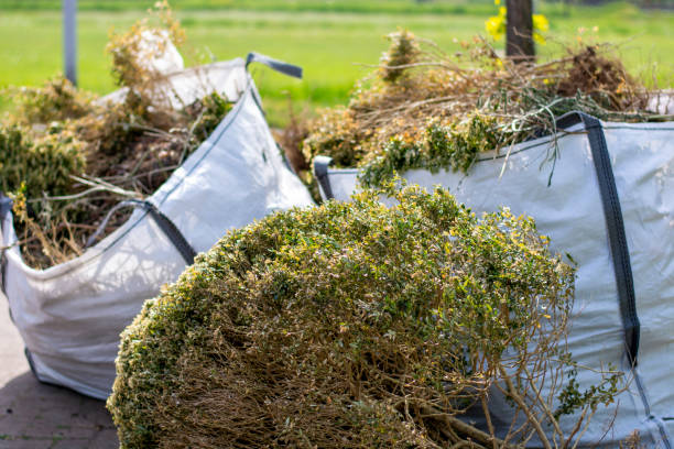Best Junk Removal Near Me  in Traer, IA